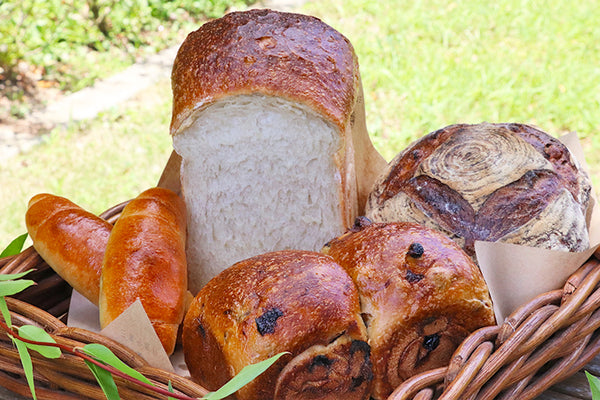 morning-set_01_grande.jpg?v=